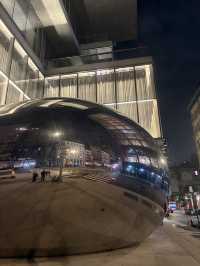 紐約三天三夜Citywalk這樣玩