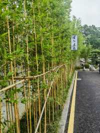 蘇州東山太湖嘅隱世小院
