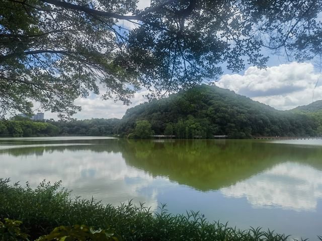隱藏於白雲山麓嘅翡翠秘境
