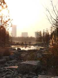 Shanghai World Expo Cultural Park | A Relaxing Weekend Getaway 🌿