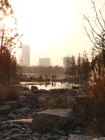Shanghai World Expo Cultural Park | A Relaxing Weekend Getaway 🌿