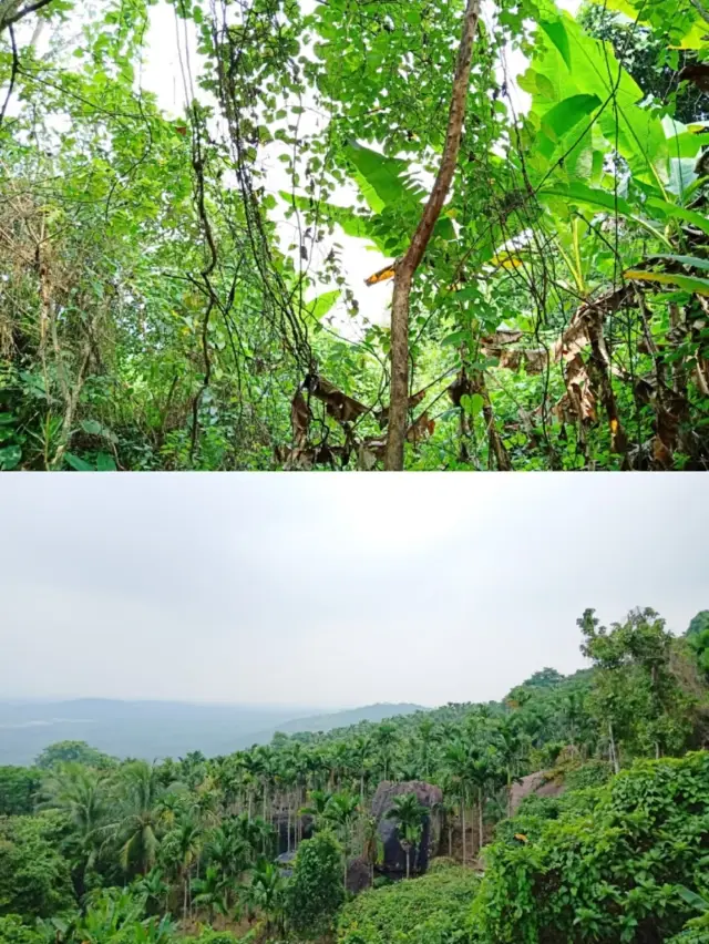 An underestimated top-tier viewpoint! Baishiling unlocks a 360° flawless and stunning perspective