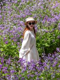 大連闖入莫奈花園！這片紫色花海美到失語～