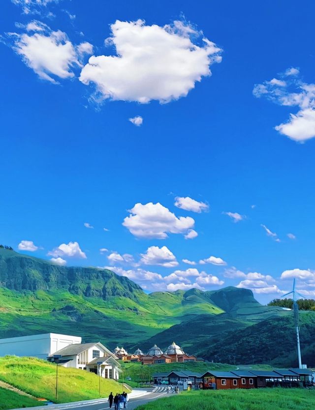 貴州六盤水烏蒙大草原‖風蕭蕭草低見牛羊 藍天白雲風車