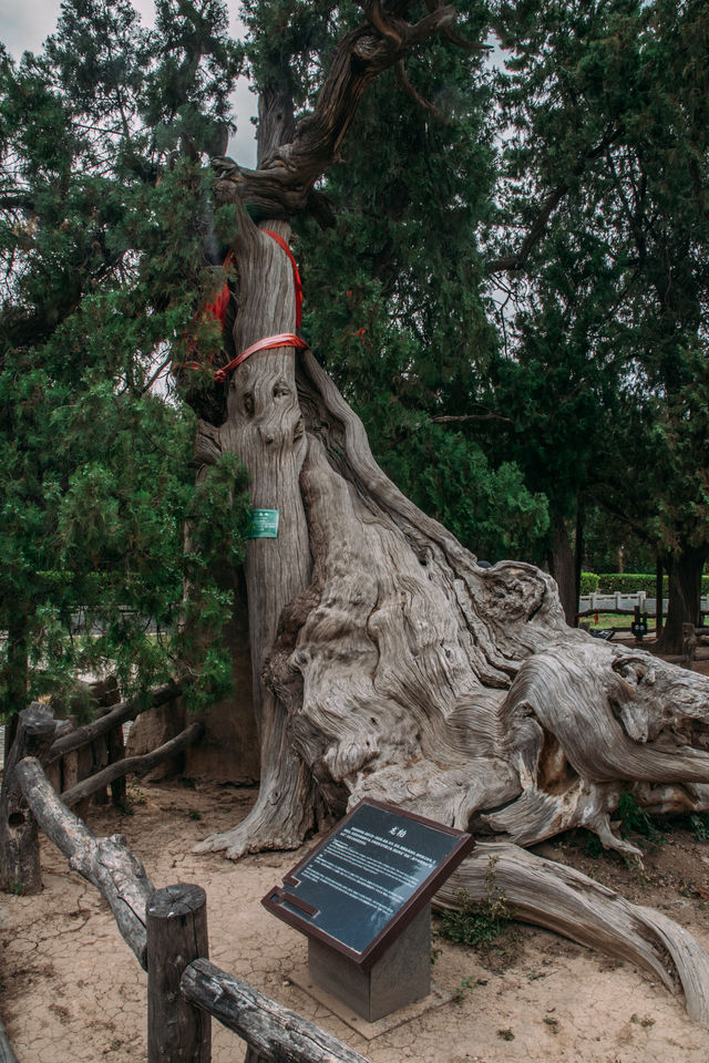 山西運城，100國保，各個都是寶。雖然重頭戲都在下面的縣城，但市區也有一些不錯的地方。 運城的市區