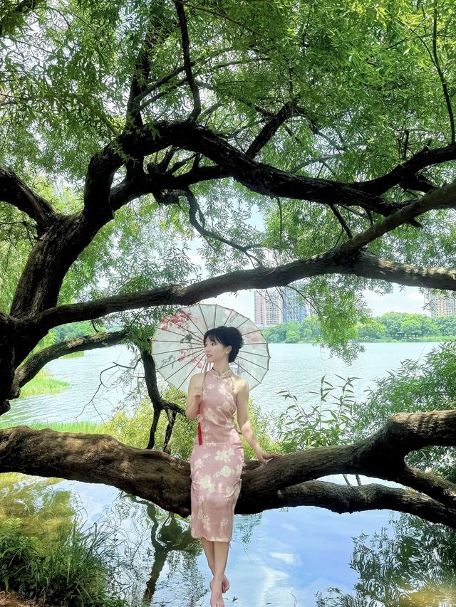 果然…長沙最勁嘅地方全部都免費！！（合集）