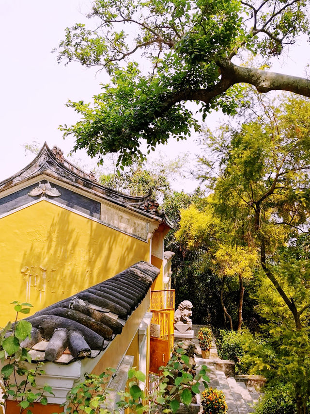  **【青山禅院：香港の静寂なる桃源郷】