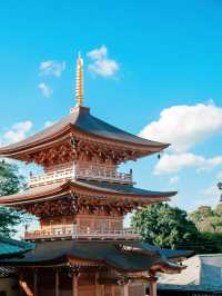 東京の隠れ名所：池上本門寺で歴史と桜を満喫】**  