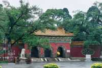 攝影｜瀋陽東陵郊野公園嘅夏天