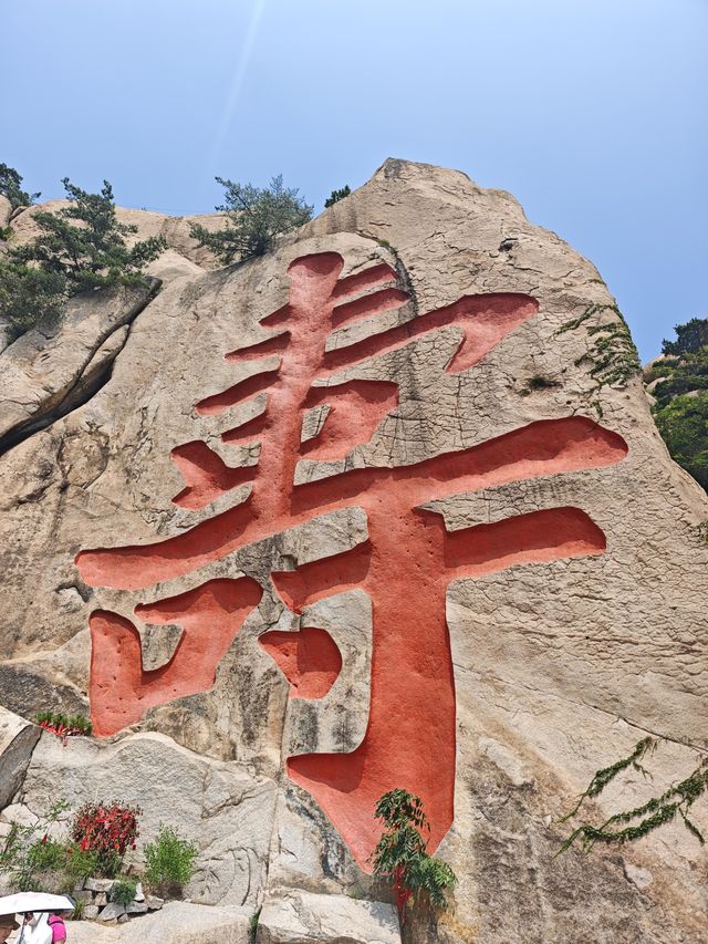山海道韻，茶香沁心——青島嶗山深度遊玩全攻略