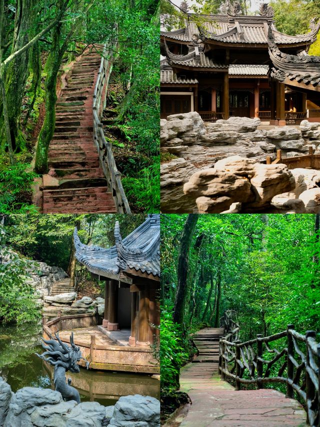 雅安碧峰峽瀑布秘境