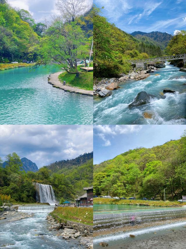 雅安碧峰峽瀑布秘境