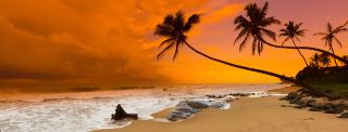 Sri Lanka 7-Day Tour: Visa-Free Travel Guide