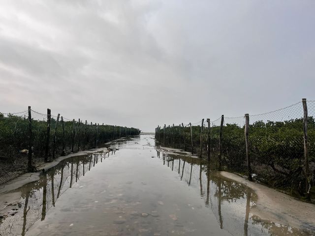 淡季去北海！特種兵一日遊玩攻略