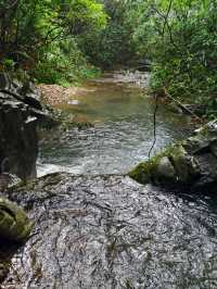 寧波秘境虹嶺古道·綠野仙蹤般的溯溪天堂