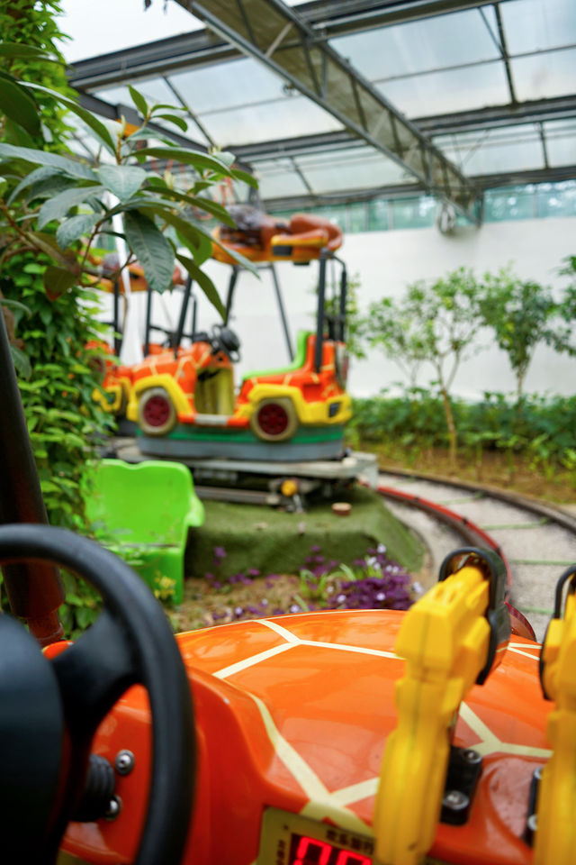 南宮五洲植物樂園｜京城遛娃頂配