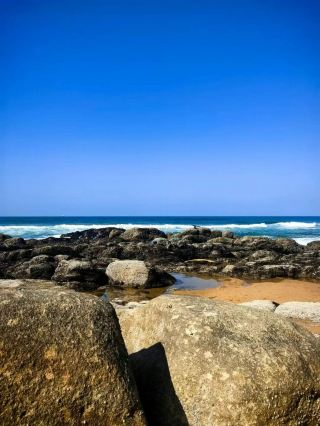 South Africa Exploration｜Immerse Yourself in a Dual Feast of Wilderness and Luxury  The African Legend is Here! The Rainbow Nation's Land Holds the Most Primal Wildness