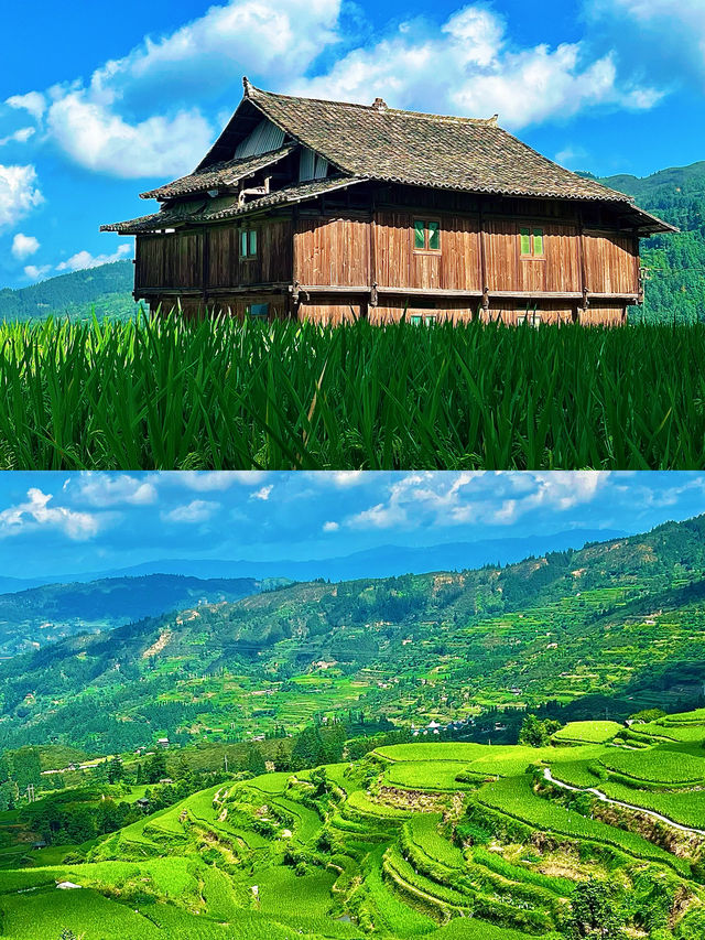 遇見肇興侗寨——在鼓樓與梯田間，尋回慢活的浪漫