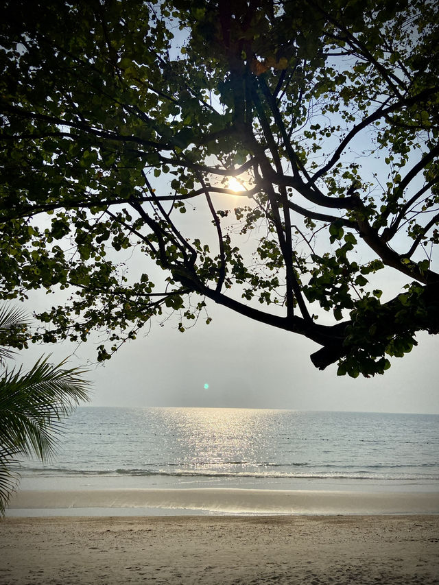 ติดหาดไปเลยสิค้าบ ว้าวว้าวว้าวเลย