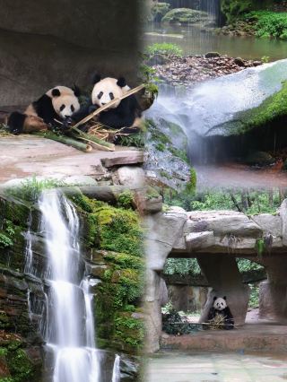 Escape to a 20℃ Wonderland! Unlock Four Secret Realms for the Ultimate Summer Retreat in Ya'an