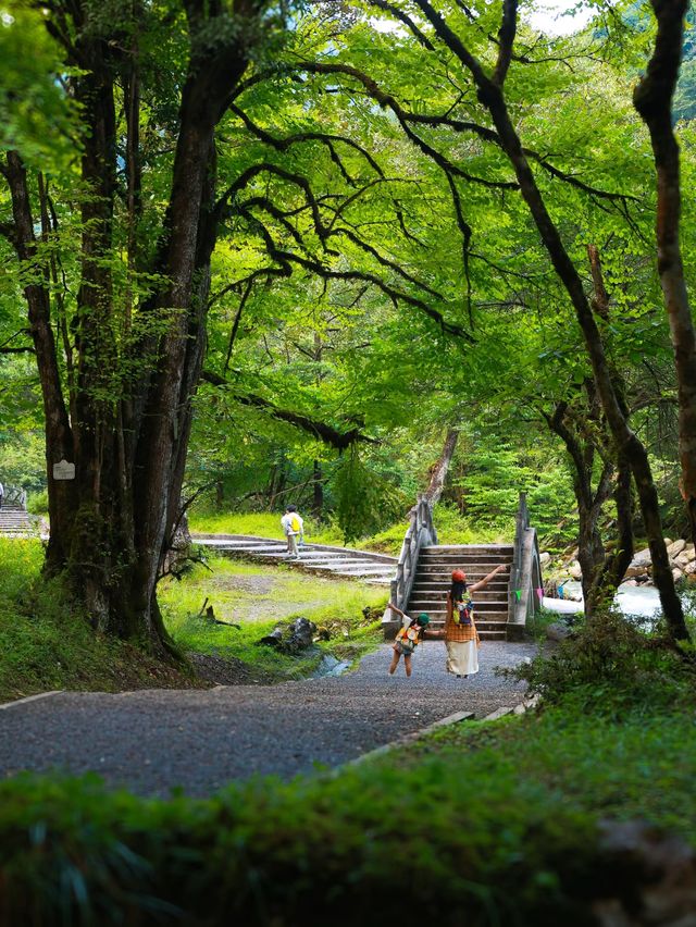 成都周邊避暑攻略，闖入23℃綠野仙蹤！