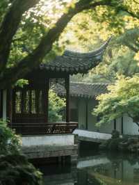 蘇州48小時,本地人怒刪10個網紅點後的純乾貨