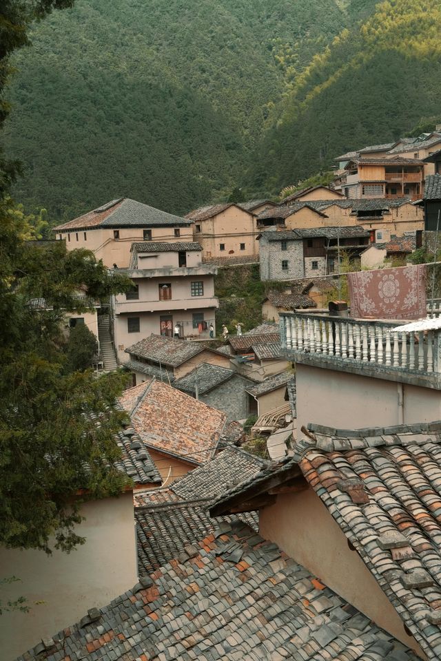 松陽10｜陳家鋪村||免門票但體驗感超正嘅古村