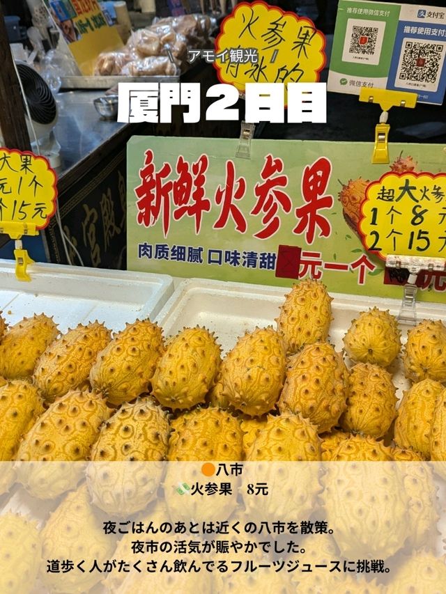 🇨🇳厦門旅行　2日目
