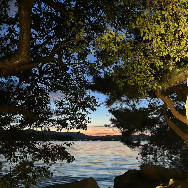 🌊杭州西湖|千年詩畫裡的遊玩指南 🌊杭州西湖|千年詩畫裡的遊玩指南