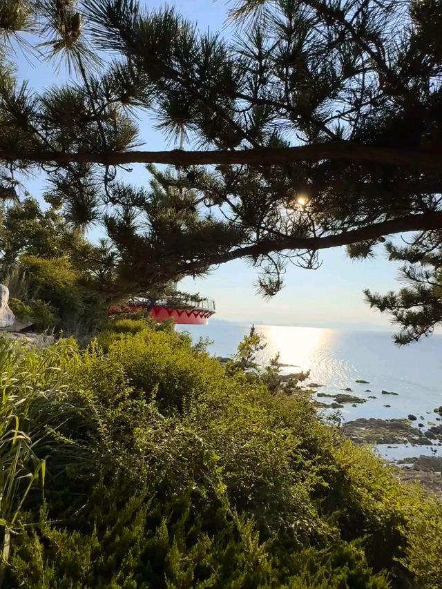 煙台養馬島攻略：免費玩轉「東方馬爾代夫」，這些隱藏玩法別錯過