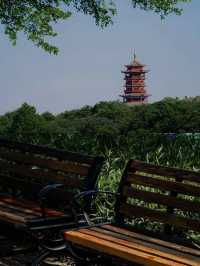 廈門「濱海綠道寶藏公園」