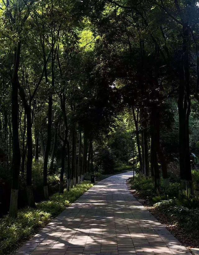 初秋一齊去成都植物園玩啦! 初秋一齊去成都植物園玩啦!