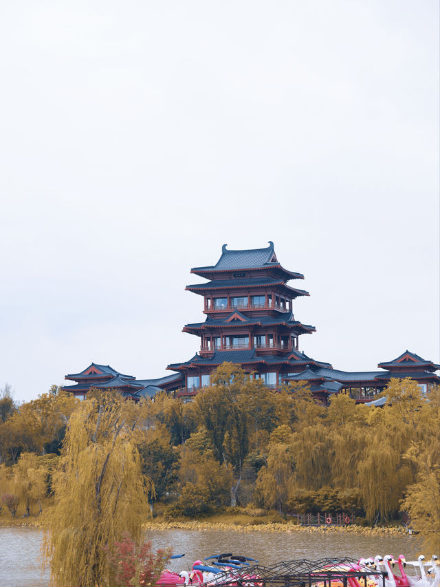 成都今年的秋天舒服到不想離開 成都今年的秋天舒服到不想離開