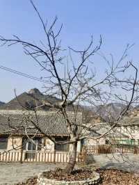 脫貧攻堅，時代的印記：駱駝灣