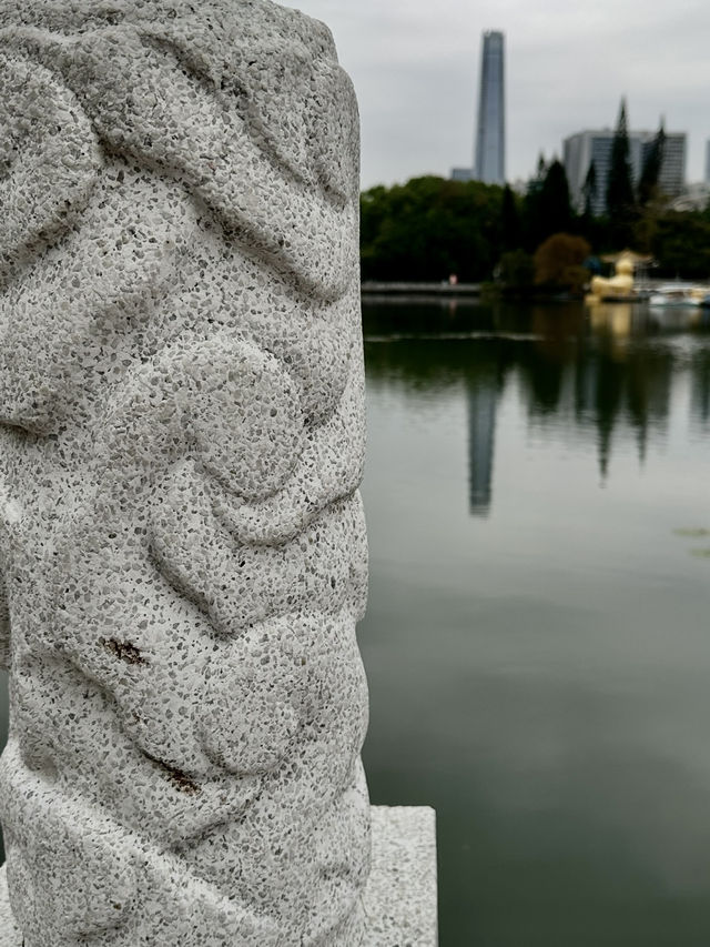 Lychee Park Shenzhen