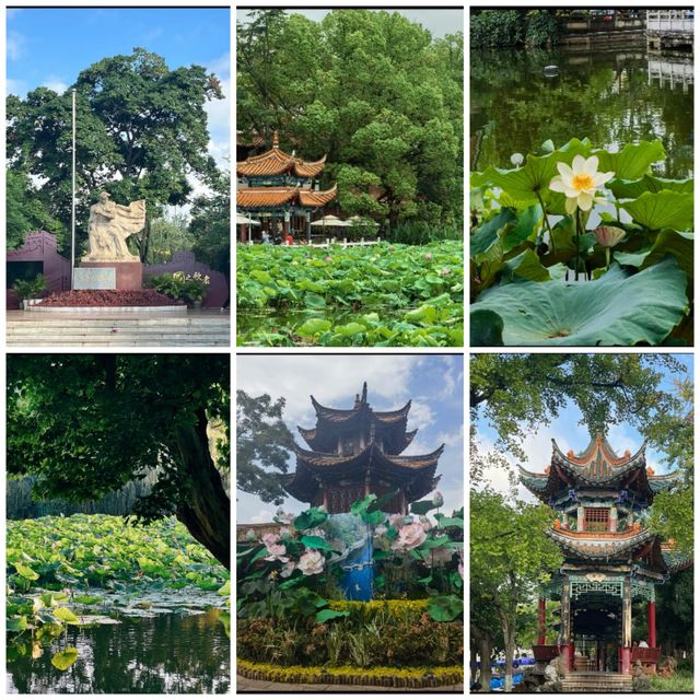 翠湖公園已回真不建議10月去，因為真的太香了