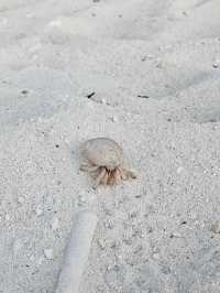 Maldives: An Endless Bucket List Destination
