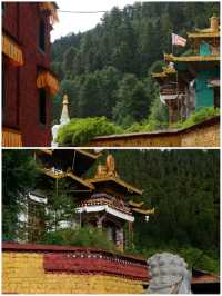 學生黨&全家遊：林芝3個高性價比景點攻略