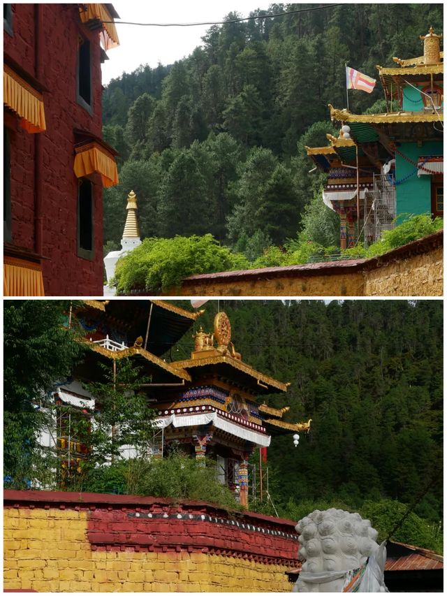 學生黨&全家遊：林芝3個高性價比景點攻略