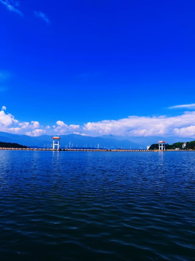 賀州小普洱 賀州小普洱