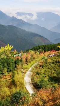 重慶四川賞楓天花板！這份打卡地圖快收好～