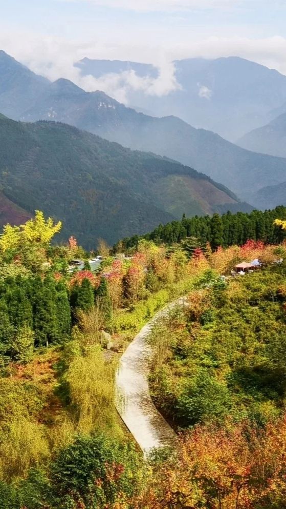 重慶四川賞楓天花板！這份打卡地圖快收好～