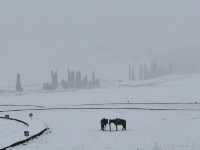 下雪的伊犁那拉提空中草原