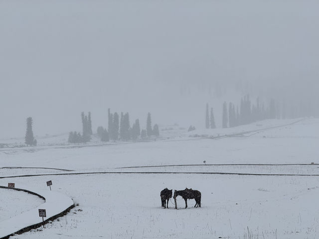 下雪的伊犁那拉提空中草原