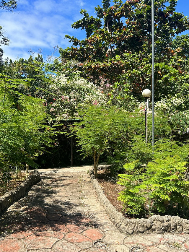 🐝 邦勞島蜜蜂農場｜海景、好吃又好逛的慢活天堂