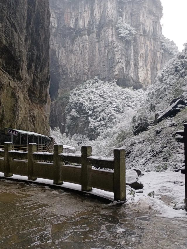 重慶下雪了！衝！仙女山2日遊保姆級攻略！
