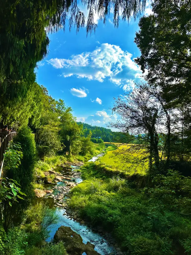 Absolutely amazing! A hidden gem near Chengdu
