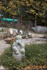 師傅說:這樣的供奉才是最好的|寺廟見聞