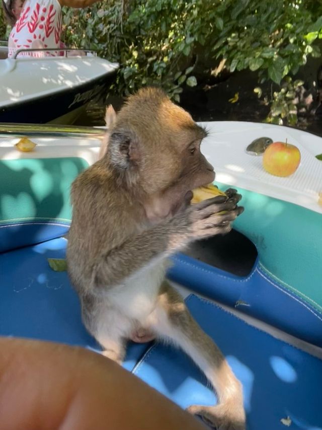 A Day in Paradise: An Unforgettable Trip Experience A Day in Paradise: An Unforgettable Trip Experience