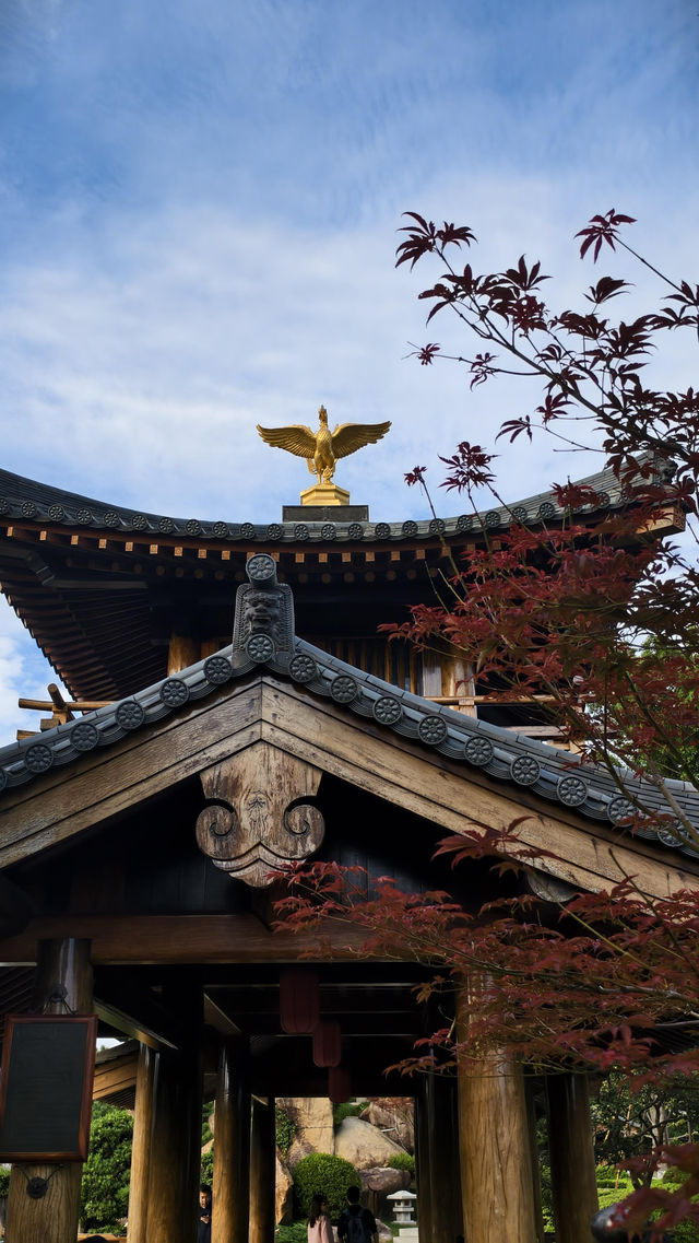 寶山寺紅楓全攻略 寶山寺紅楓全攻略